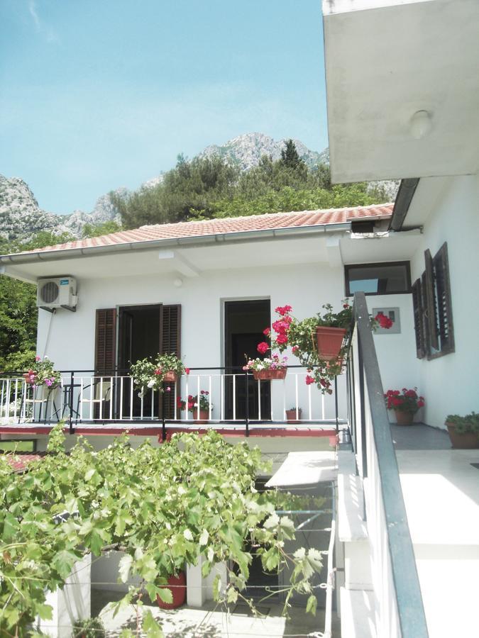 Apartment Ivana Котор Экстерьер фото